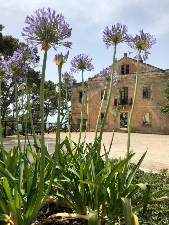 Aragoniteazzurra Casa Vacanza Gonnesa Eksteriør billede
